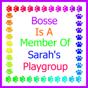 Sarah's Play Group