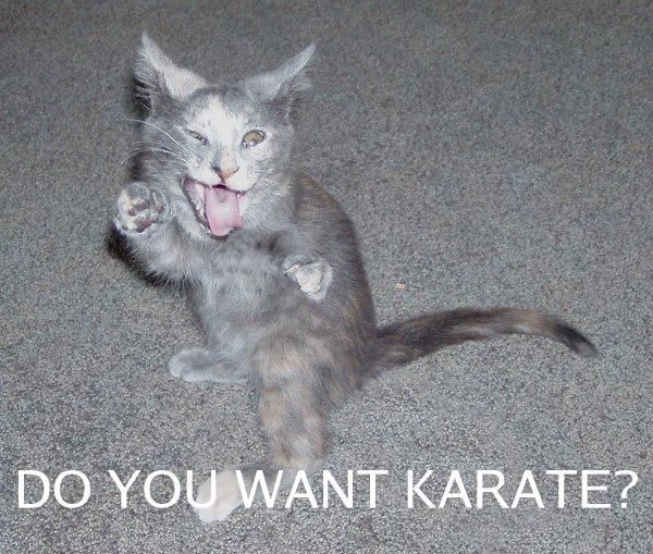1161382101-karate