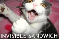 1161382102-sandwich