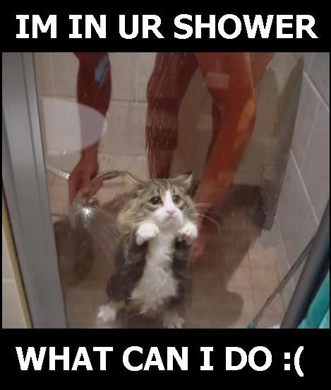 1161382102-shower