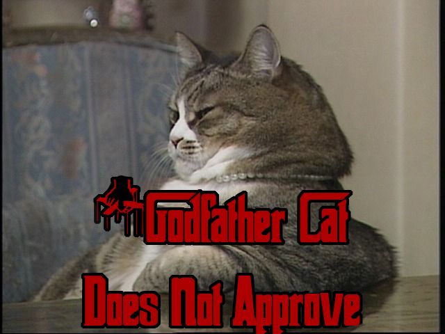 1162399645-Godfathercat