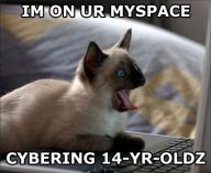 1164814158-myspacecat