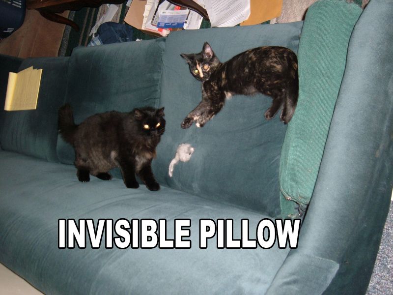 1166518423-invisiblepillow