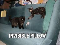 1166518423-invisiblepillow