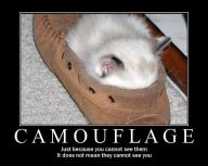 1168705855-camouflage