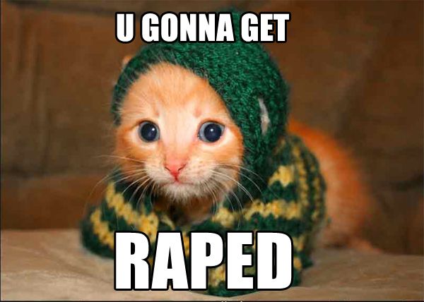 1169988171-Gonna_get_raped_cat