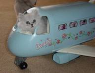 1171893087-barbieplane