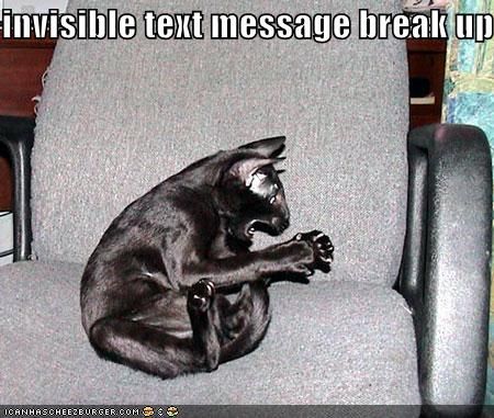 1208551186-funny-pictures-black-cat-invisible-text-message-breakup